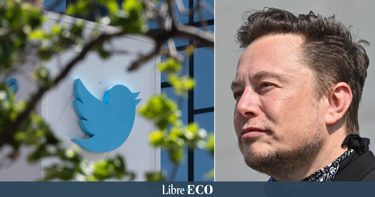What could change on Twitter following the takeover by Elon Musk