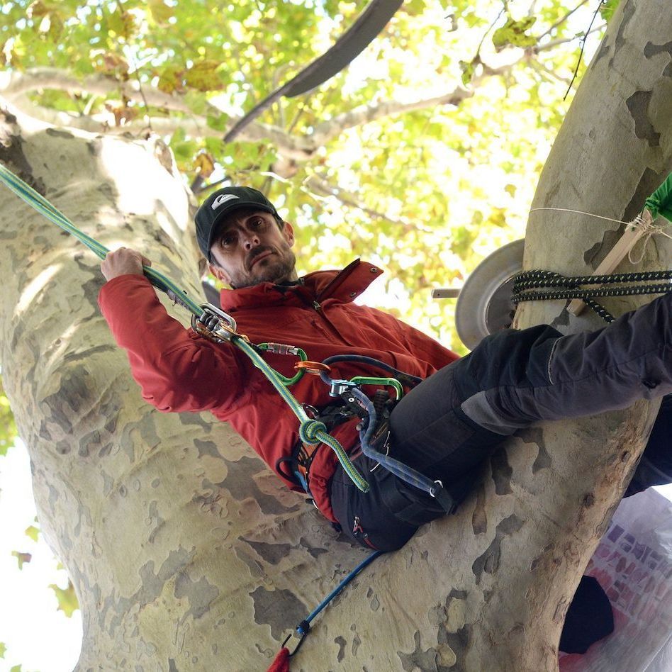 The Man Who Saved the Trees: Portrait of Whistleblower Thomas Brail