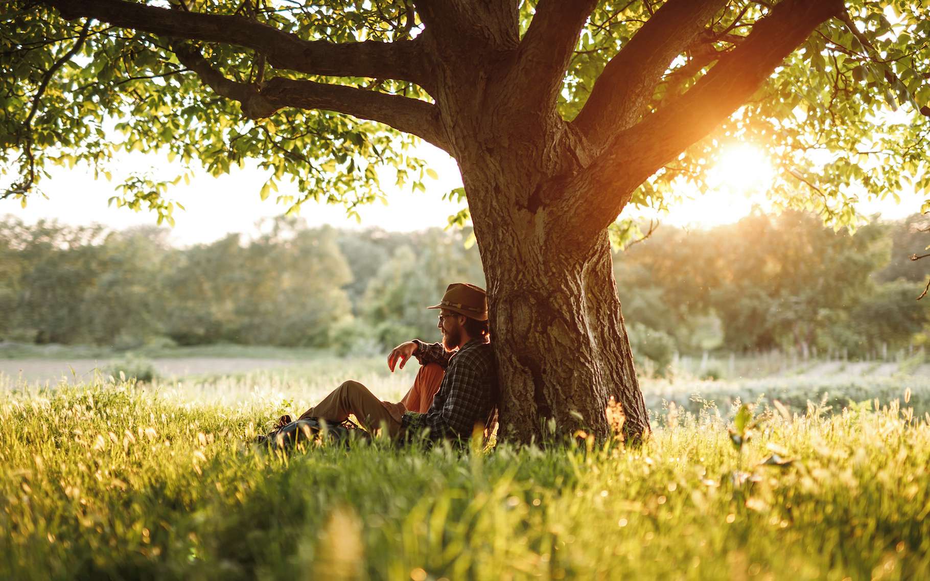 Two hours in nature each week to get better