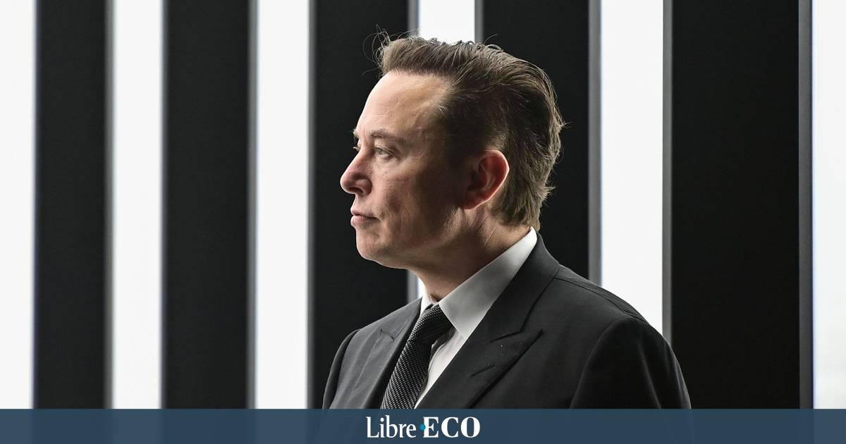 Elon Musk says Twitter deal &lsquo;temporarily suspended&rsquo; as stock plunges