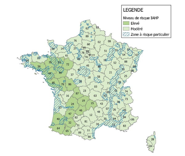 Avian flu in France