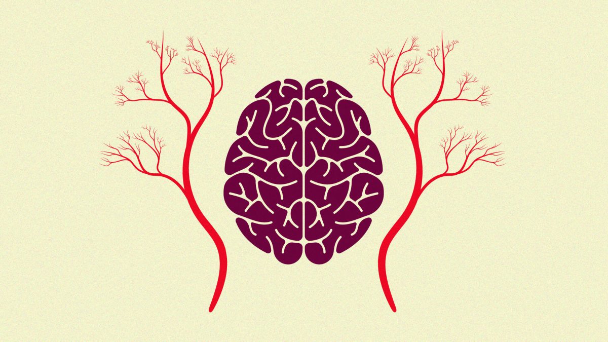 Dementia: better understanding the role of blood circulation