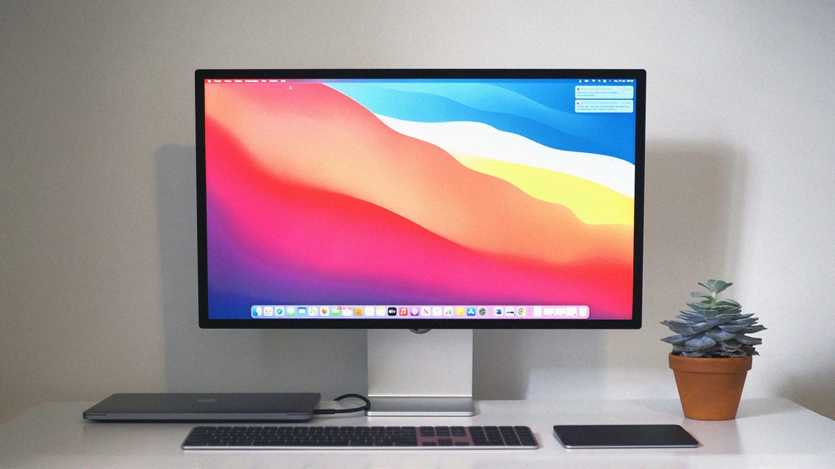 How to choose a monitor for telecommuting