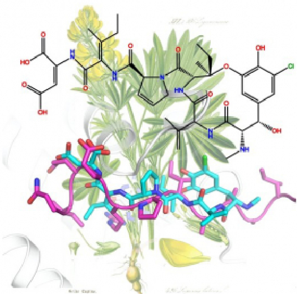 📰 Structural convergence between inhibitors and a regulator of microtubule dynamics
